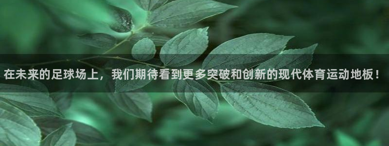 公海赌赌船官方正版app集团：在未来的足球场上，我们
