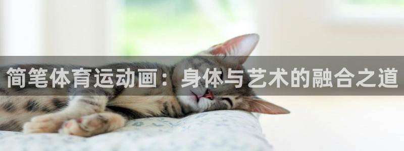 公海赌赌船官方正版app集团logo：简笔体育运动画