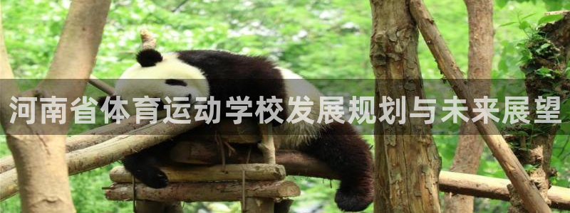 公海赌赌船官方正版app集团简介：河南省体育运动学校