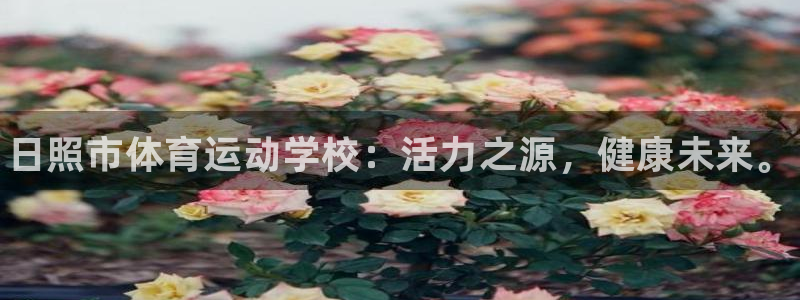 公海赌赌船官网下载招商电话地址是多少：日照市体育运动
