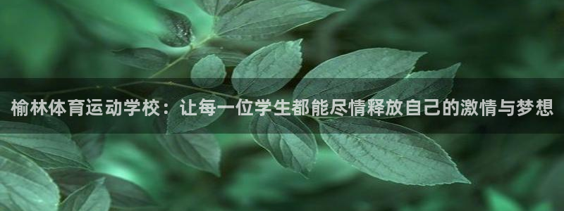公海赌赌船官网下载招商电话：榆林体育运动学校：让每一