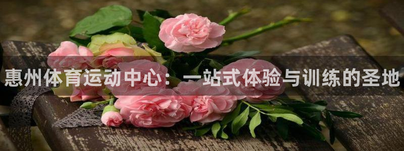 公海赌赌船官网下载平台是正规平台吗：惠州体育运动中心