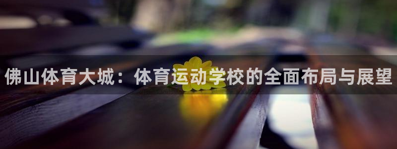 公海赌赌船官网下载招商电话号码是多少：佛山体育大城：