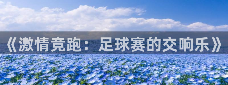 公海赌赌船官方正版app集团简介：《激情竞跑：足球赛