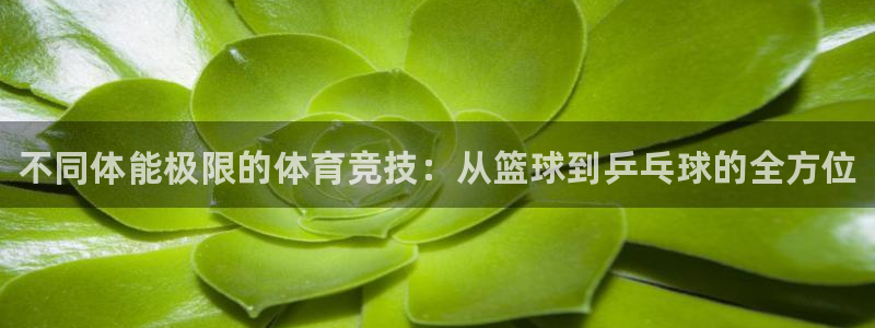 公海赌赌船官网下载联系电话：不同体能极限的体育竞技：从篮球到