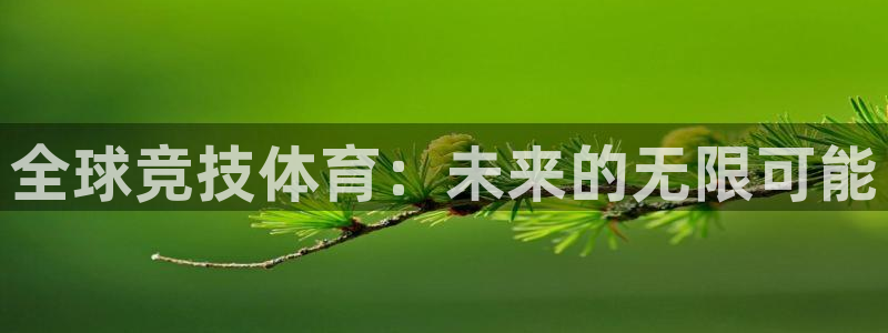 公海赌赌船官方正版app代理：全球竞技体育：未来的无限可能