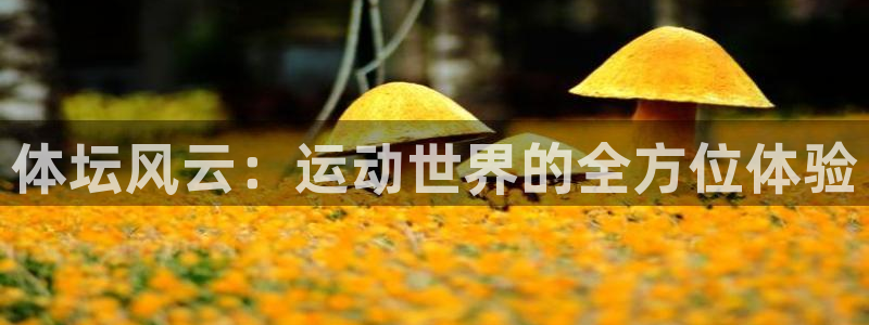 公海赌赌船官方正版app神州：体坛风云：运动世界的全