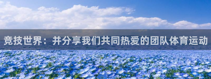 公海赌赌船官方正版app娱乐首页网站大全：竞技世界：