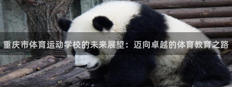 公海赌赌船官网下载联系电话