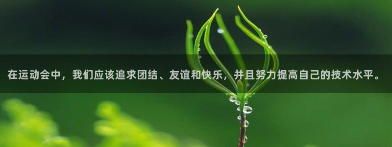 公海赌赌船官网下载平台注册流程视频：在运动会中，我们应该追求