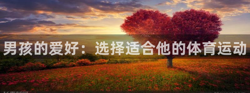 公海赌赌船官网下载平台注册要钱吗是真的吗：男孩的爱好