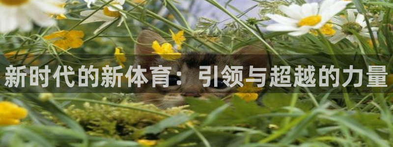 公海赌赌船官方正版app集团官网首页网址：新时代的新体育：引