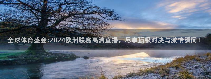 斗球直播tv版app：全球体育盛会:2024欧洲联赛高清直播，尽享顶级对决与激情瞬间！