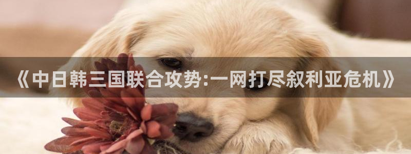 斗球体育直播下载
