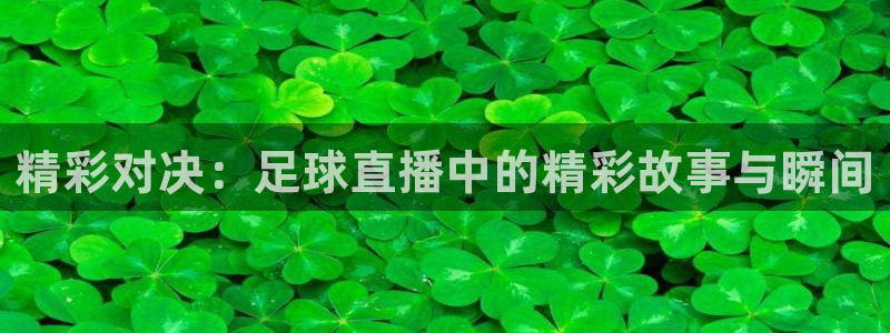 斗球dqty在线直播