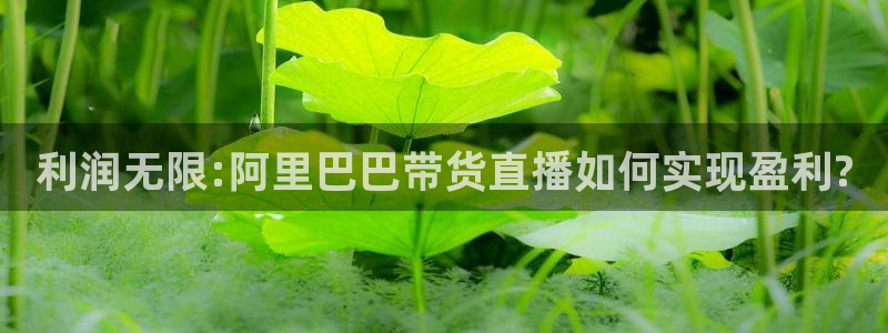 dqiu斗球直播：利润无限:阿里巴巴带货直播如何实现盈利?