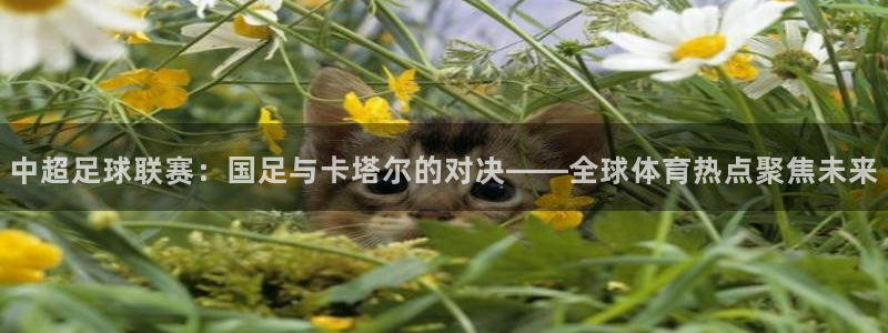 斗球app免费下载：中超足球联赛：国足与卡塔尔的对决——全球体育热点聚焦未来