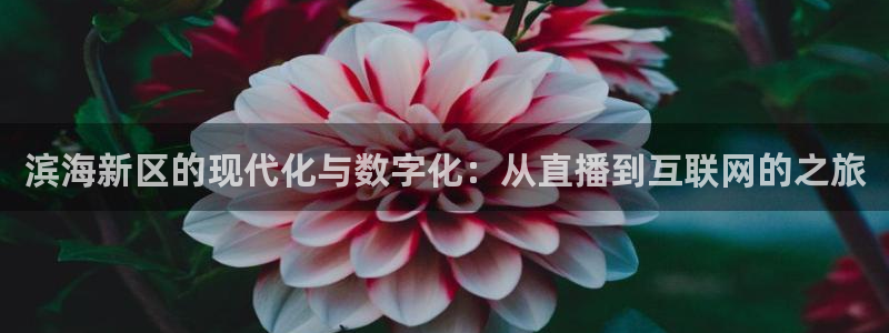 斗球体育怎么没有直播了：滨海新区的现代化与数字化：从直播到互联网的之旅