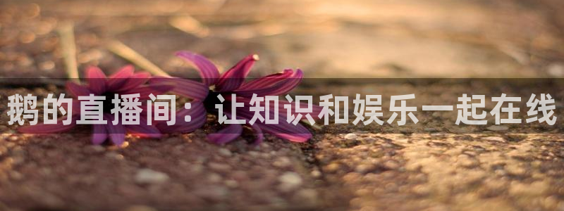 斗球体育直播app下载官网最新版：鹅的直播间：让知识和娱乐一起在线