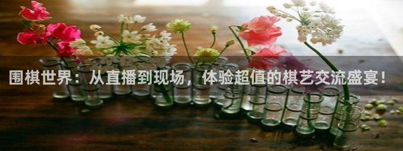 斗球直播官网下载：围棋世界：从直播到现场，体验超值的棋艺交流盛宴！