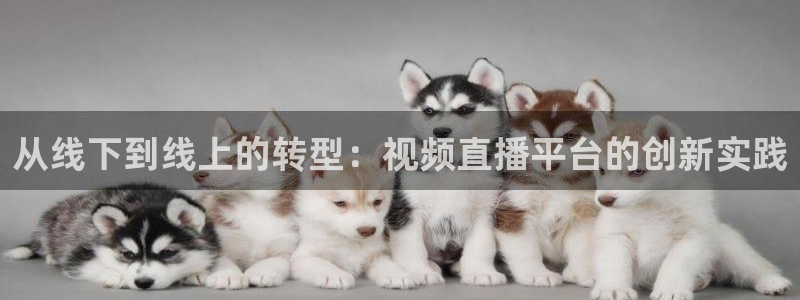 斗球直播电脑版：从线下到线上的转型：视频直播平台的创新实践
