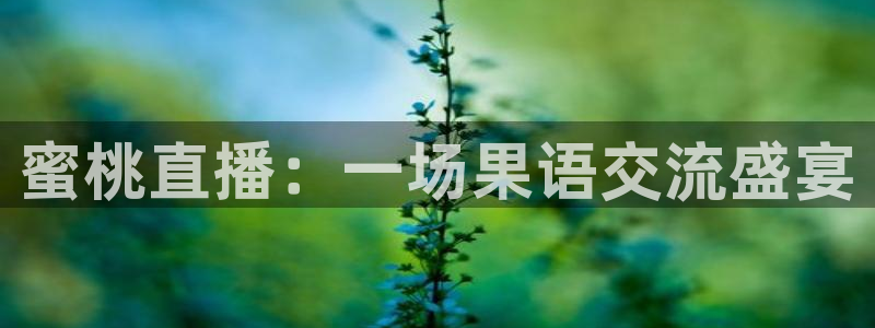 斗球app下载：蜜桃直播：一场果语交流盛宴