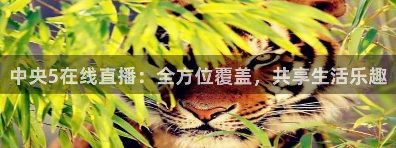斗球直播免费体育直播