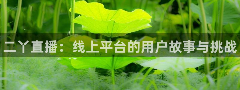 下载斗球体育直播nba：二丫直播：线上平台的用户故事与挑战