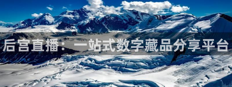 斗球直播苹果：后宫直播：一站式数字藏品分享平台