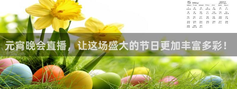 体育直播斗球：元宵晚会直播，让这场盛大的节日更加丰富多彩！