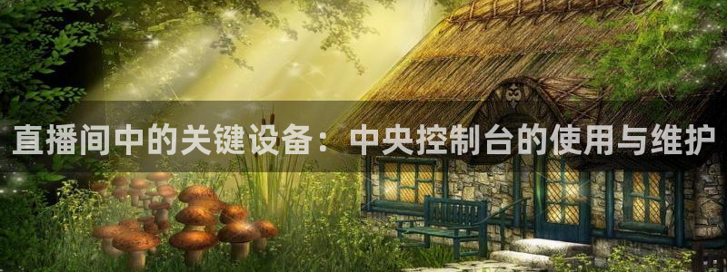 斗球直播(ios版)：直播间中的关键设备：中央控制台的使用与维护