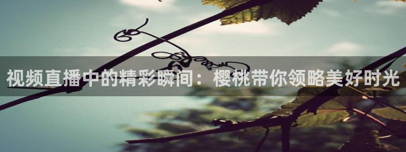 斗球视频：视频直播中的精彩瞬间：樱桃带你领略美好时光