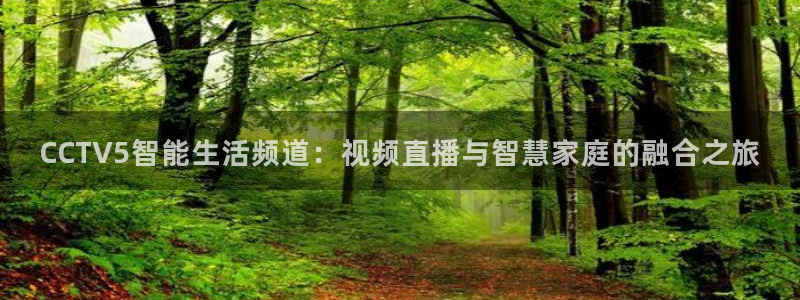 斗球体育app手机版：CCTV5智能生活频道：视频直播与智慧家庭的融合之旅